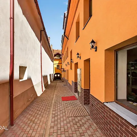 Staynatural Center Hotel