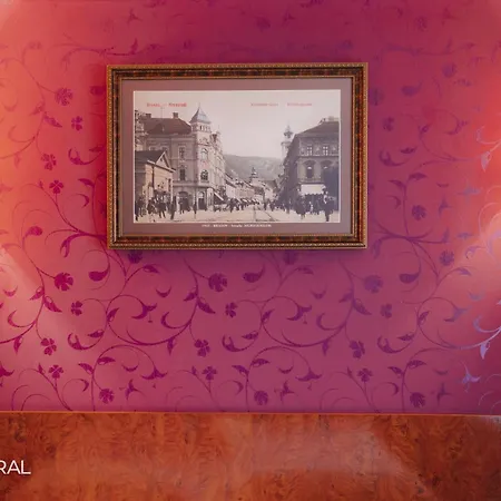 Staynatural Center Hotel Brasov